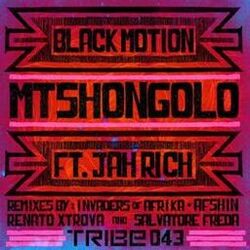 Cover of Mtshongolo