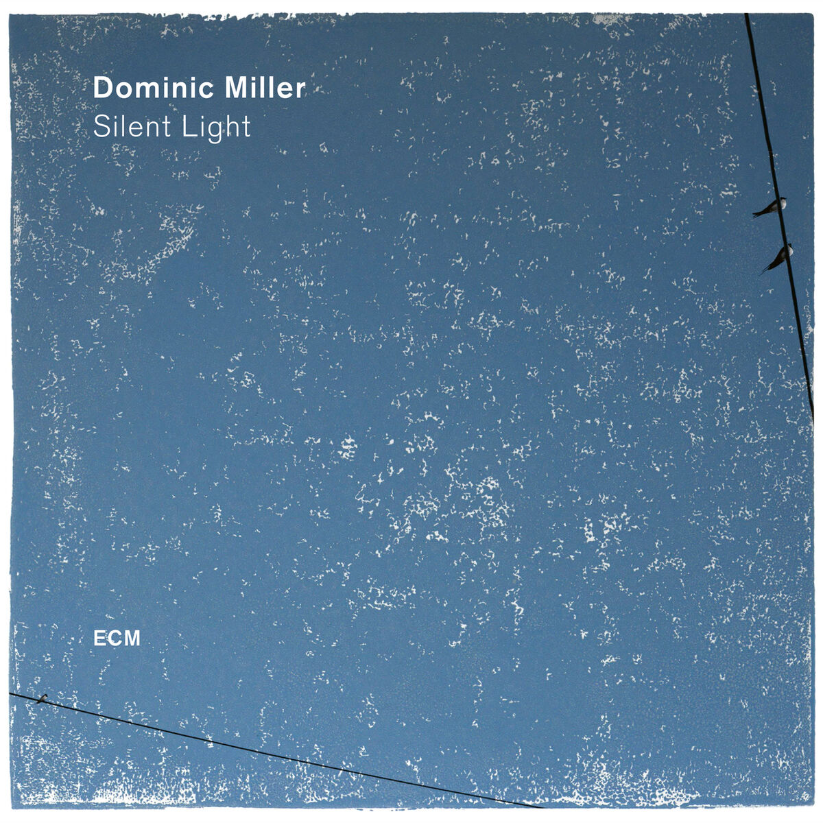 Album cover of Silent Light