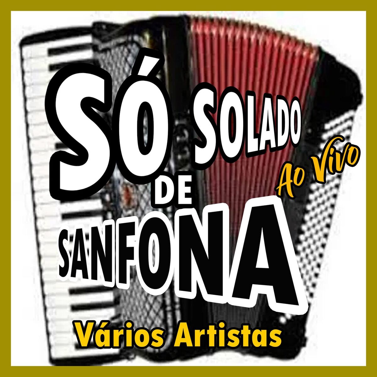 Album cover of SÓ SOLADO DE SANFONA - AO VIVO