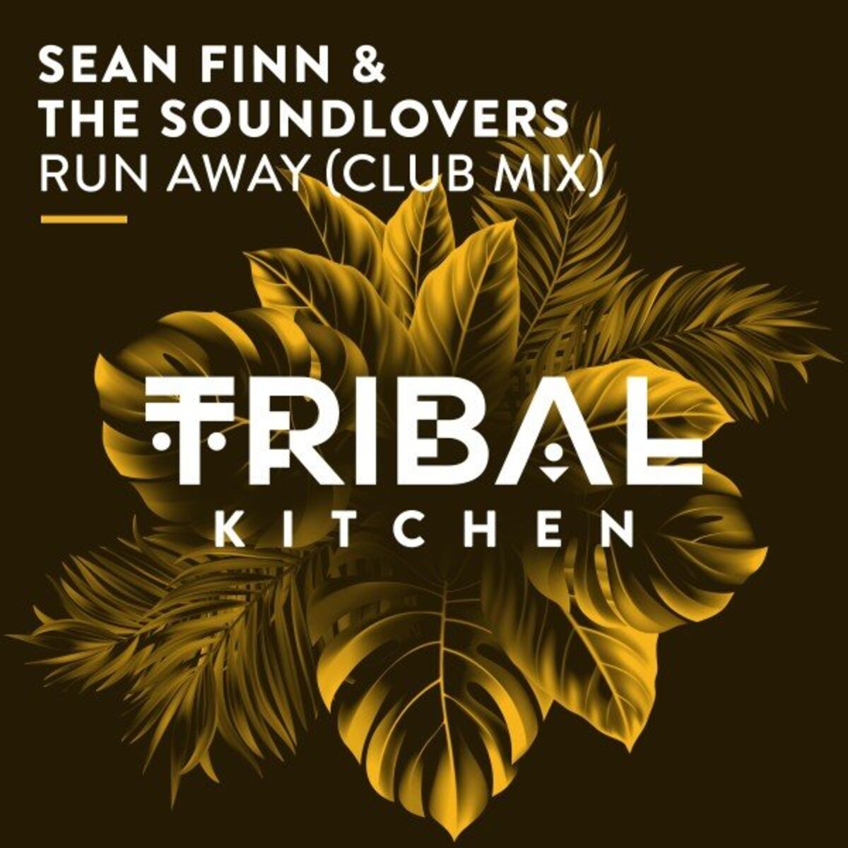 Album cover of Run Away