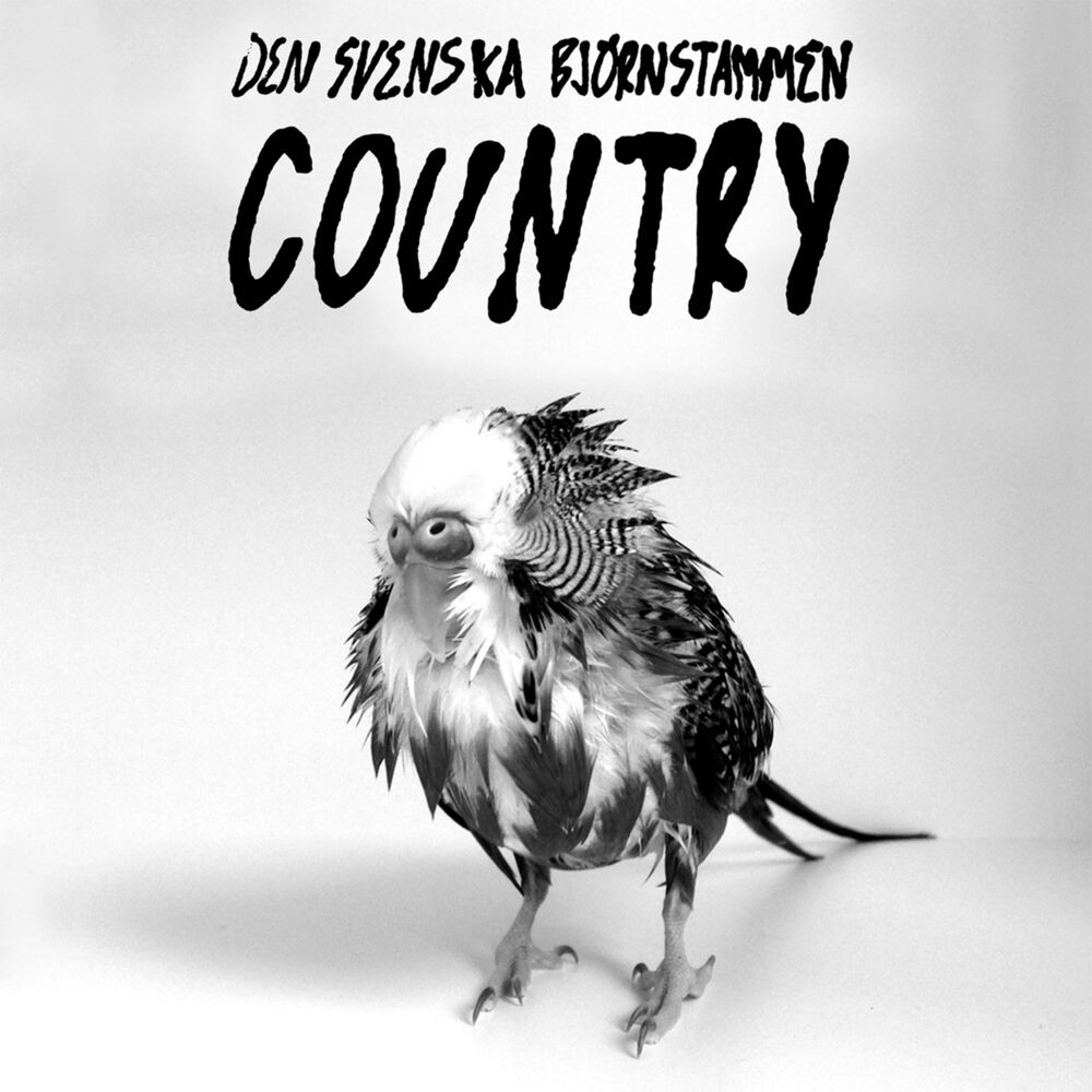 Picture of Country (Instrumental)
