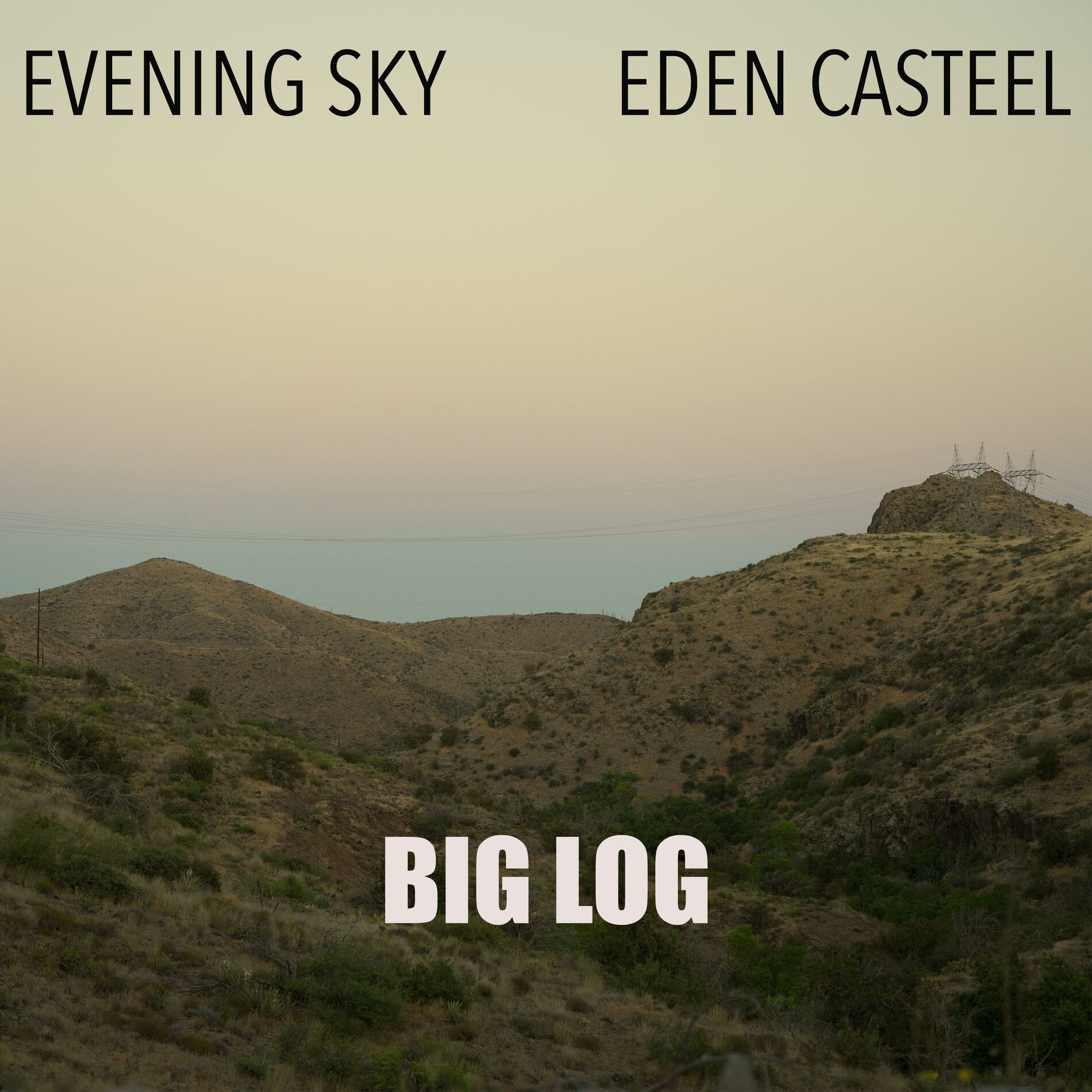 Album cover of Big Log (feat. Eden Casteel)