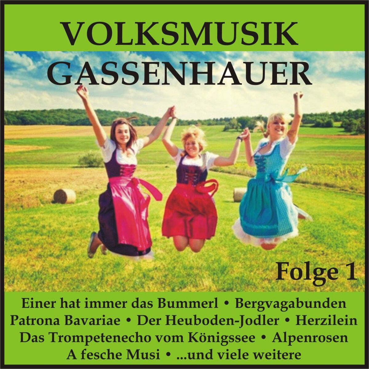 Album cover of Volksmusik Gassenhauer, Folge 1