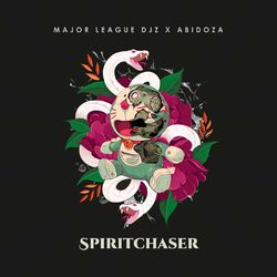 Cover of Spiritchaser