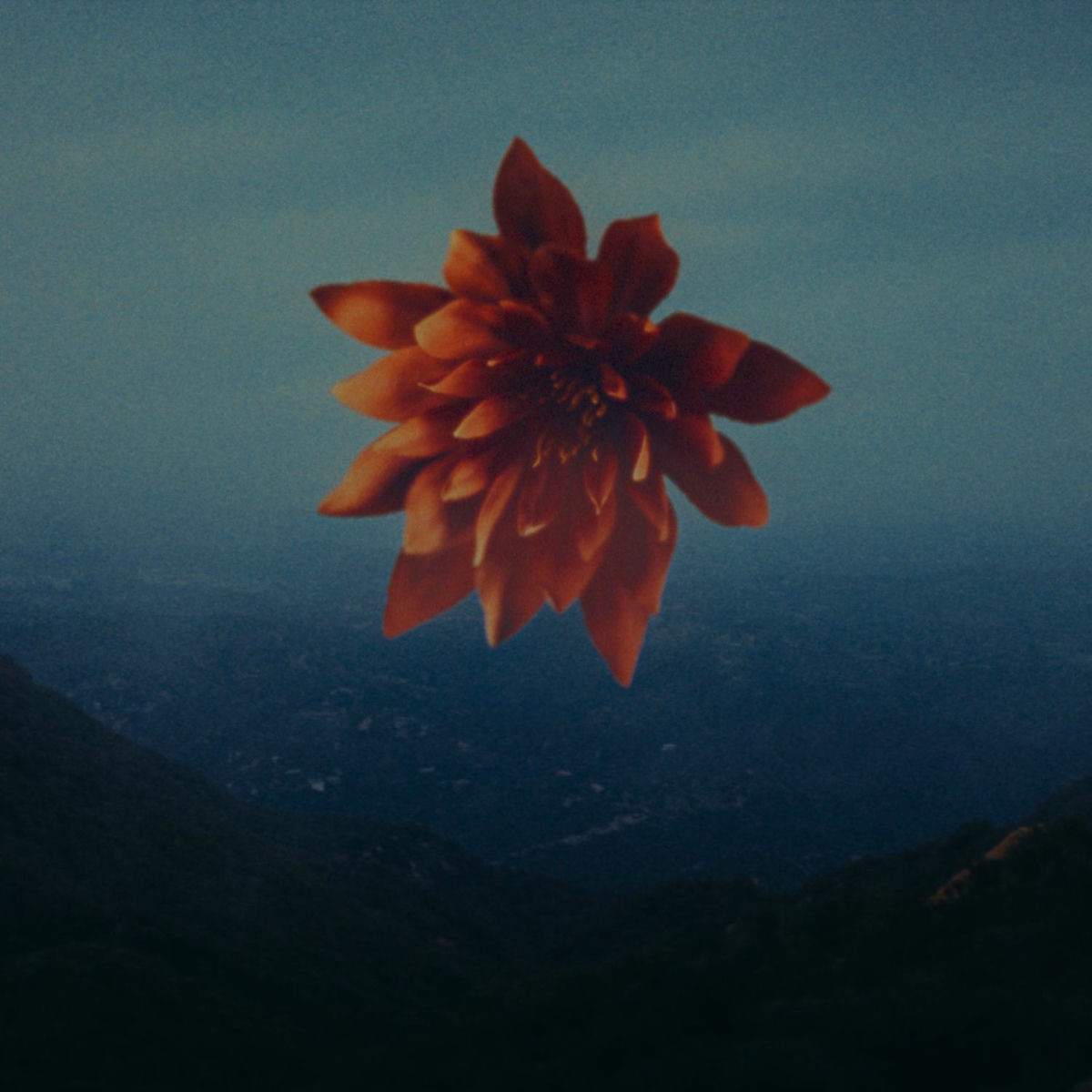 Album cover of Everybody Knows