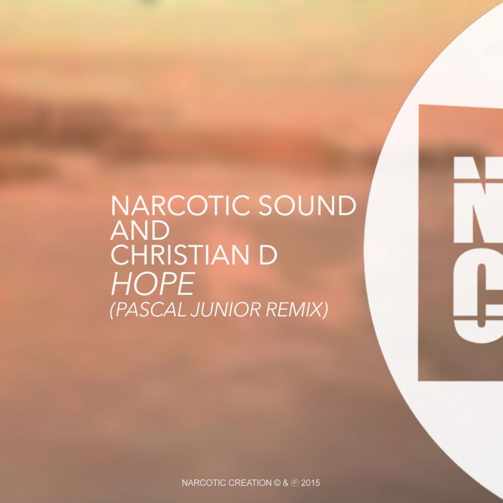 Picture of Hope (Pascal Junior Remix)