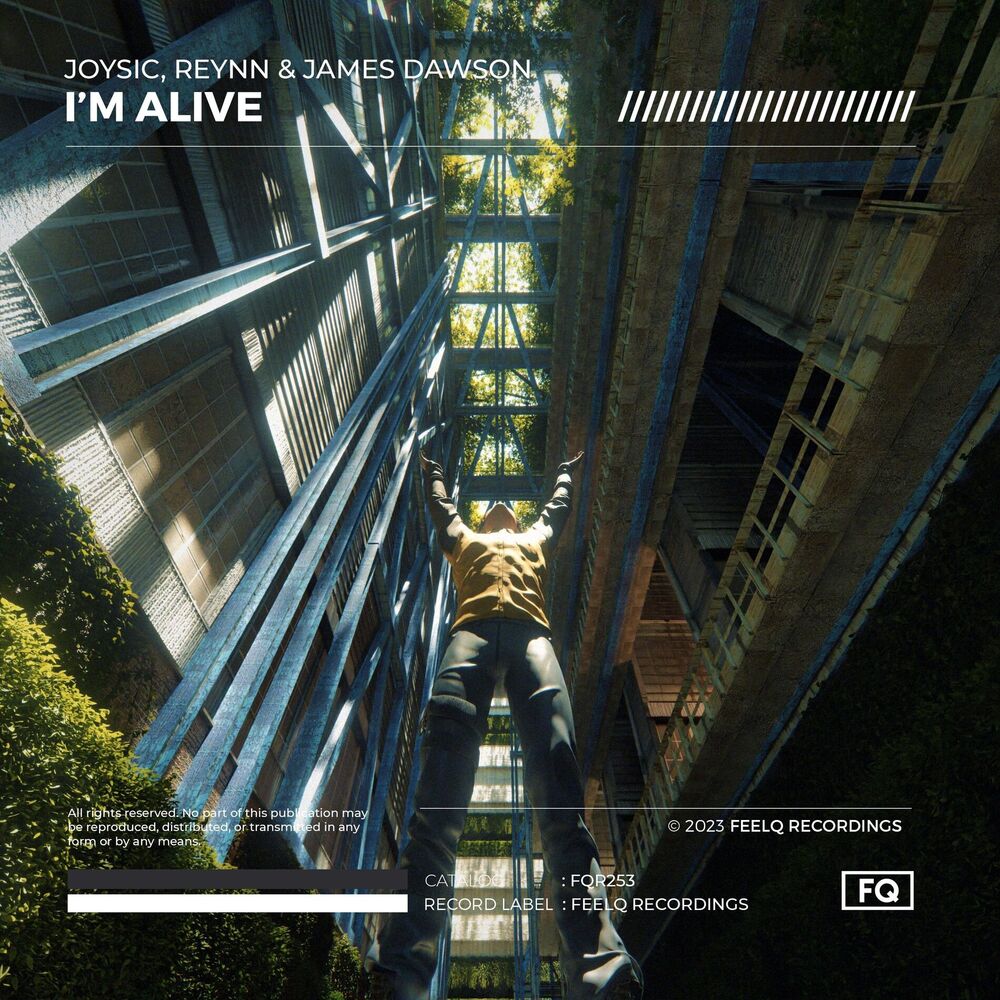 Picture of I'm Alive