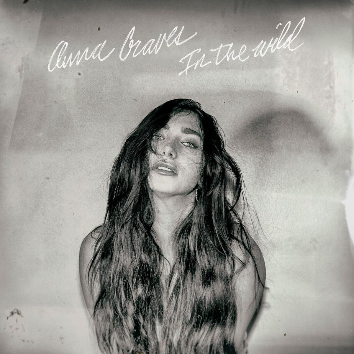 Album cover of In The Wild
