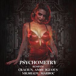 Cover of Psychometry