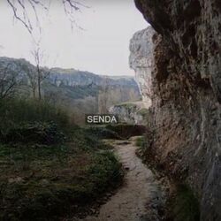 Cover of SENDA