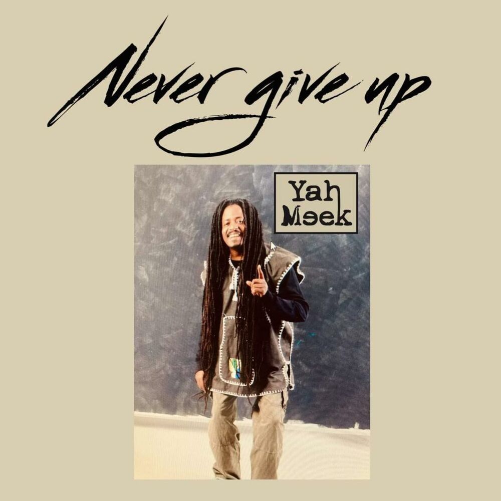 Picture of Never give up