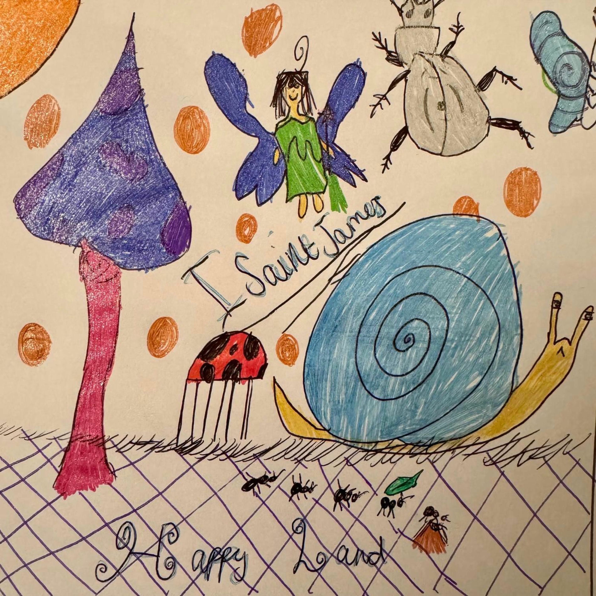 Album cover of Happyland