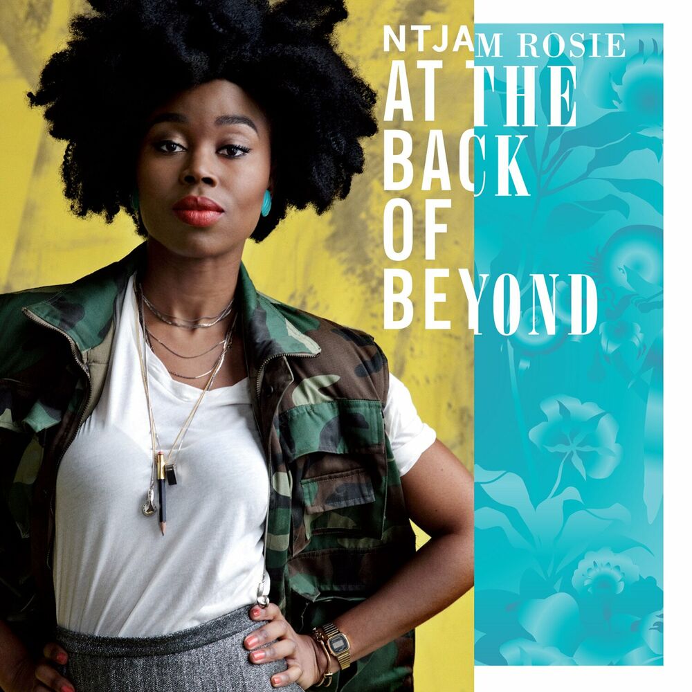 Picture of At the Back of Beyond