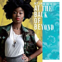 Cover of At the Back of Beyond