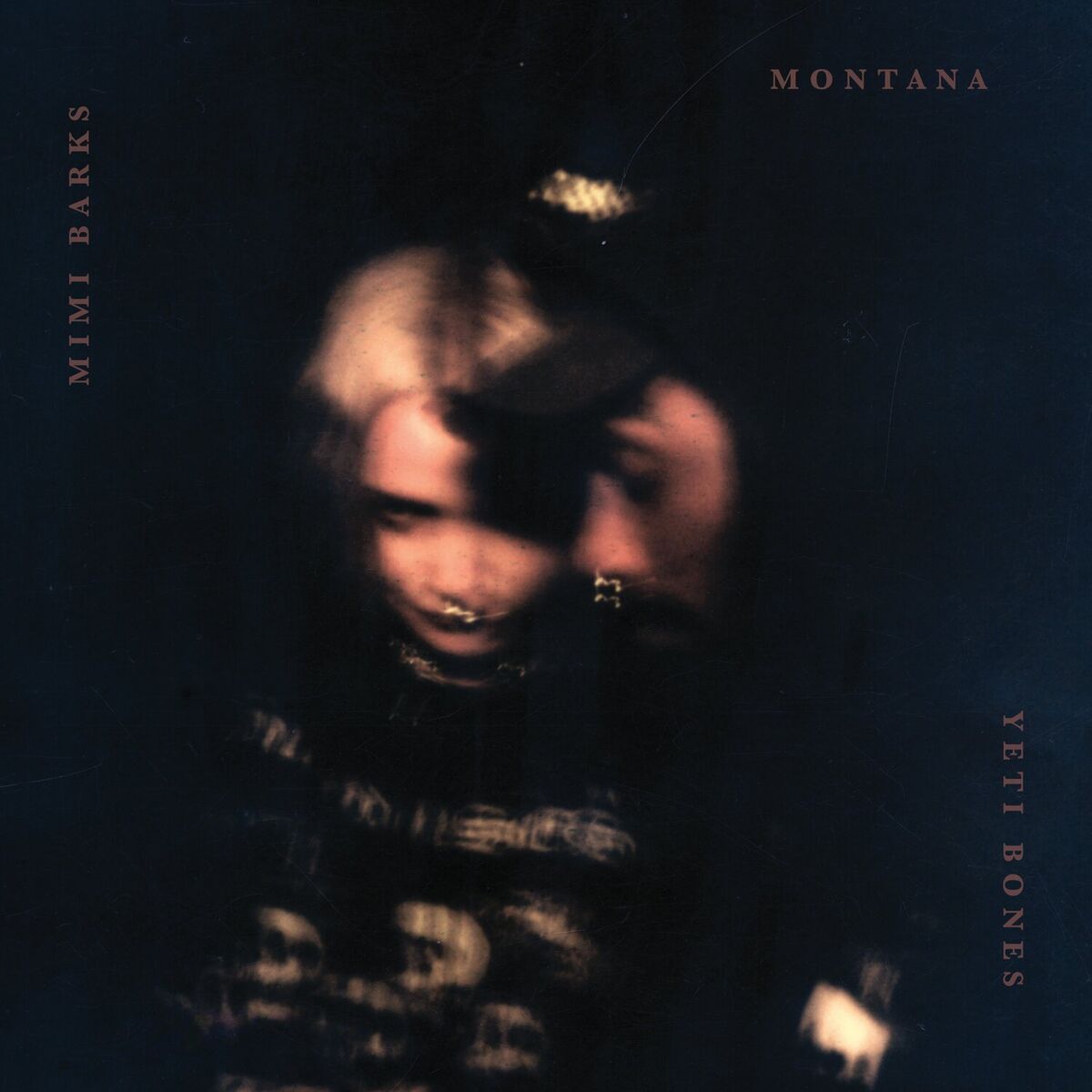 Album cover of MONTANA (feat. Yeti Bones of Ho99o9)