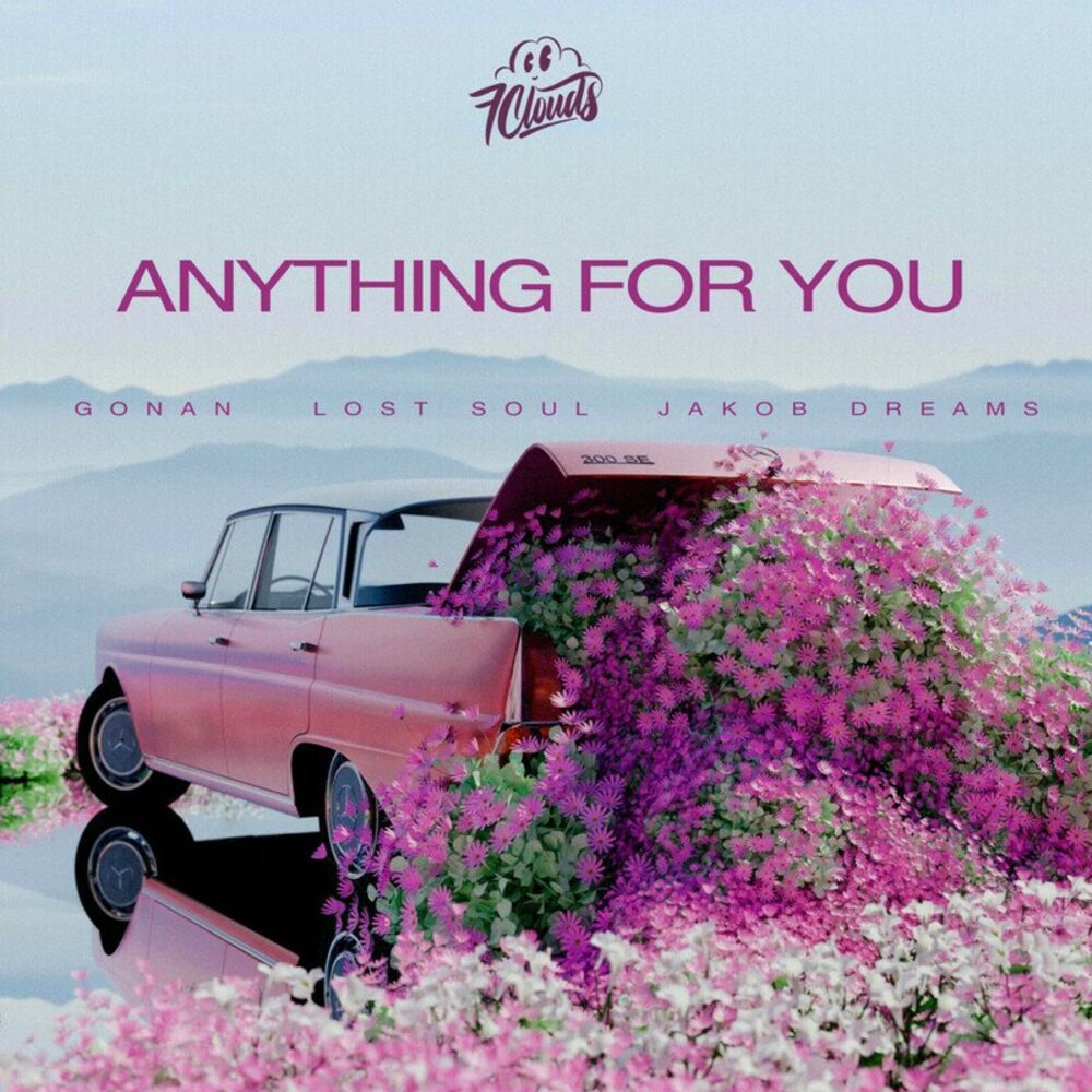 Picture of Anything For You