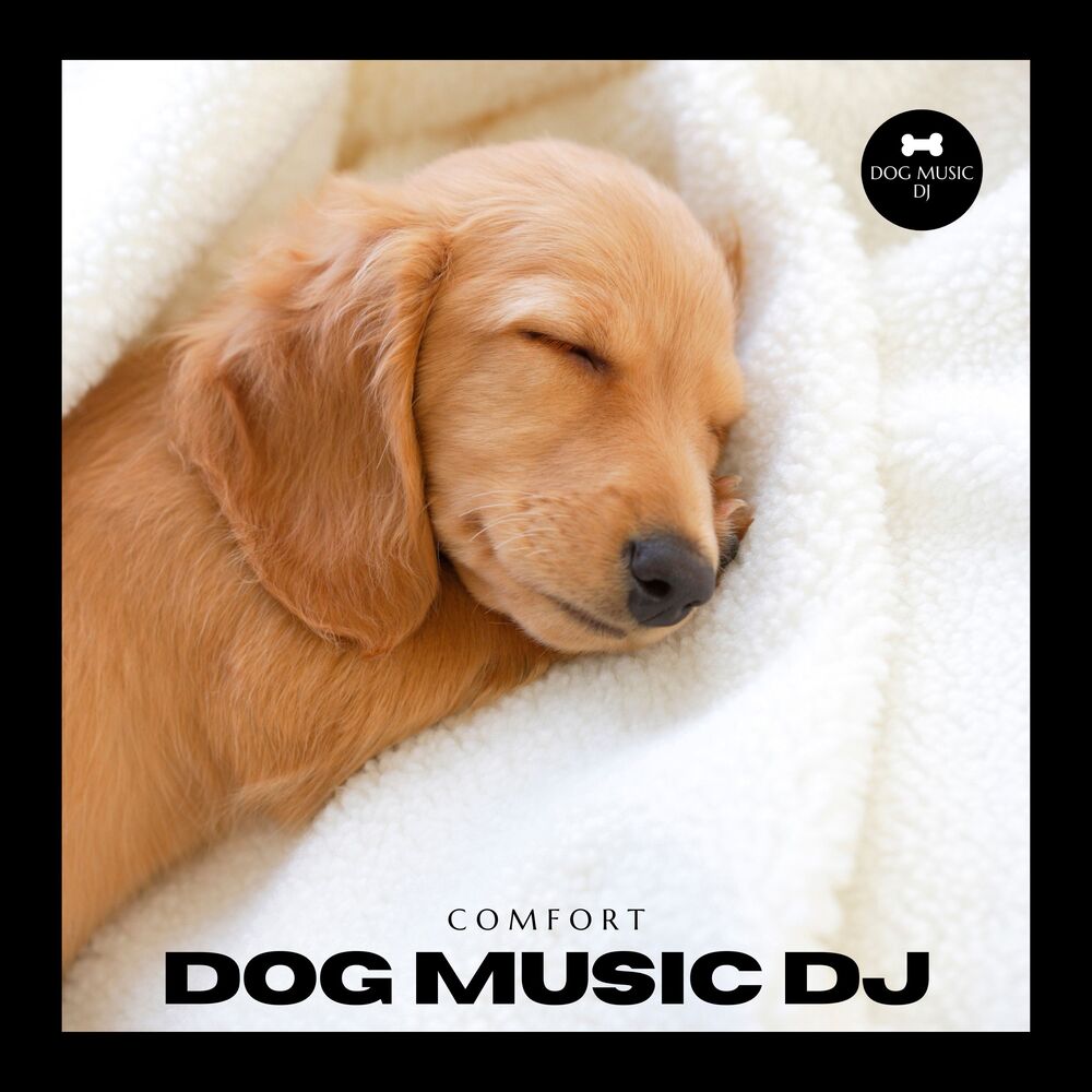 Picture of Dog Music: Comfort