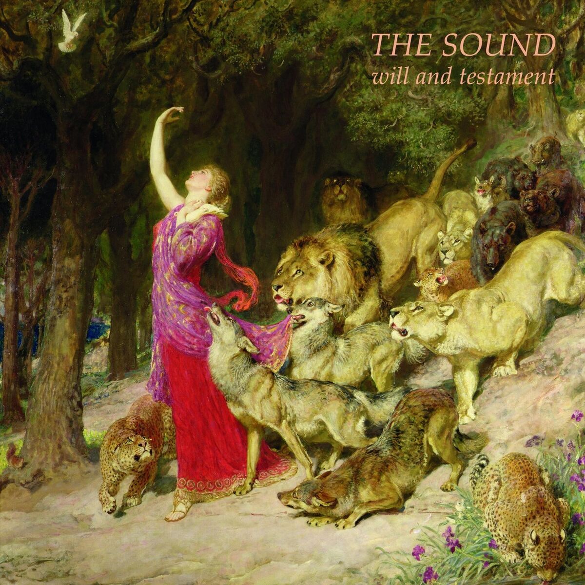 Album cover of Will and Testament / Starlight