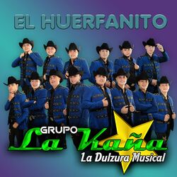 Cover of El huerfanito