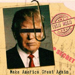 Cover of Make America Great Again