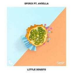 Cover of Little Doubts