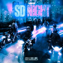 Cover of SD Night