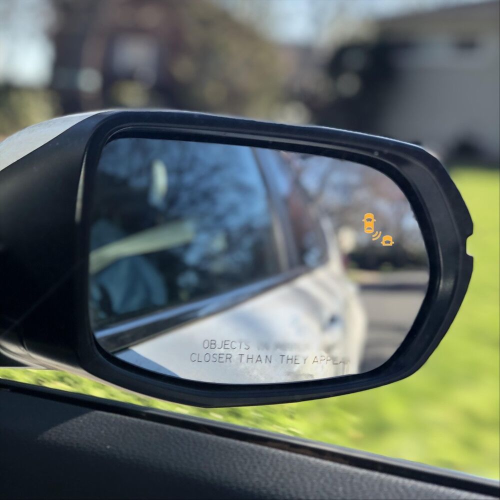 Picture of Blind Spots