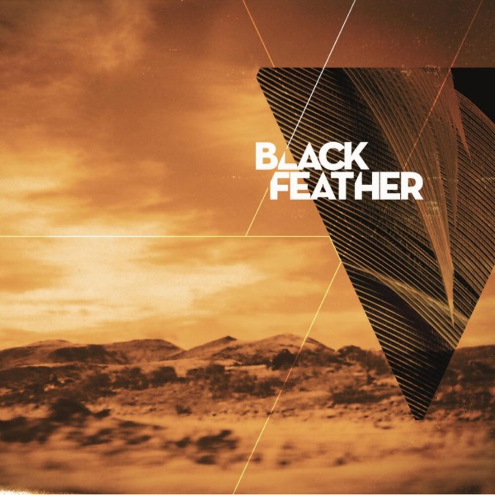 Picture of Black Feather