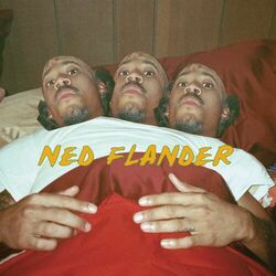 Cover of NY (Ned Flander) (feat. Hodgy & Tyler, The Creator)
