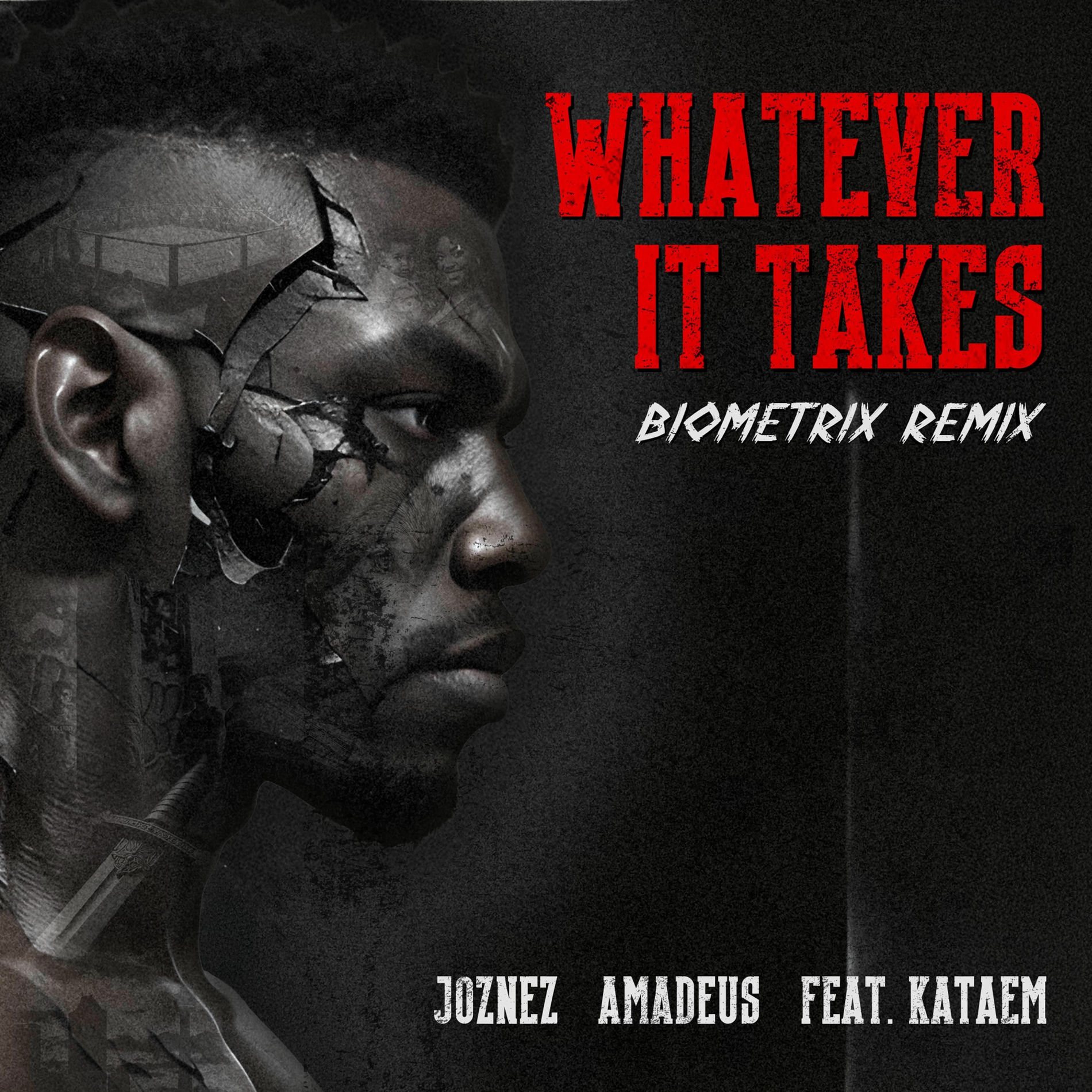 Album cover of Whatever it Takes (feat. Kataem) [Biometrix Remix]