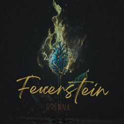 Cover of Feuerstein