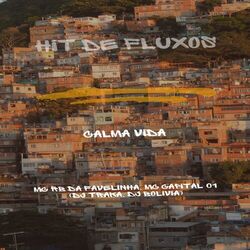Cover of CALMA VIDA