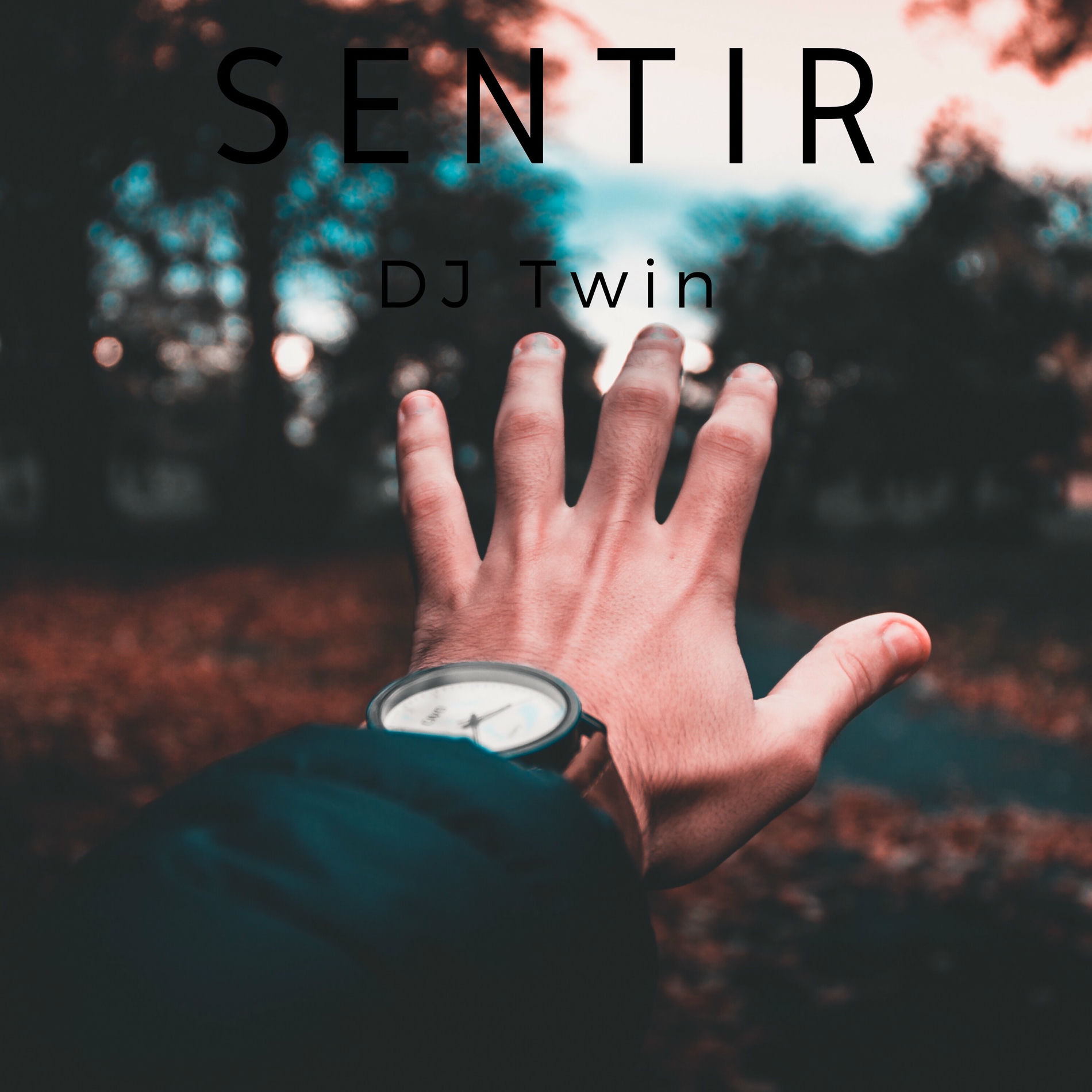 Album cover of Sentir