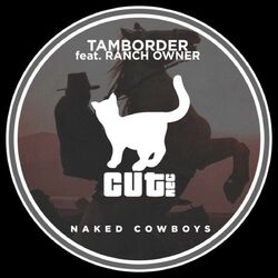 Cover of Naked Cowboys