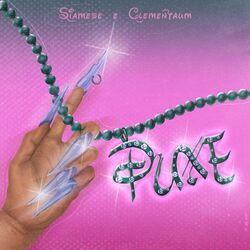 Cover of Puxe
