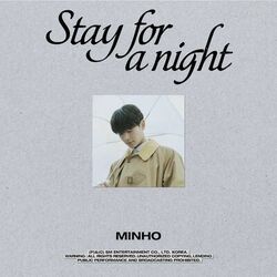 Cover of Stay for a night