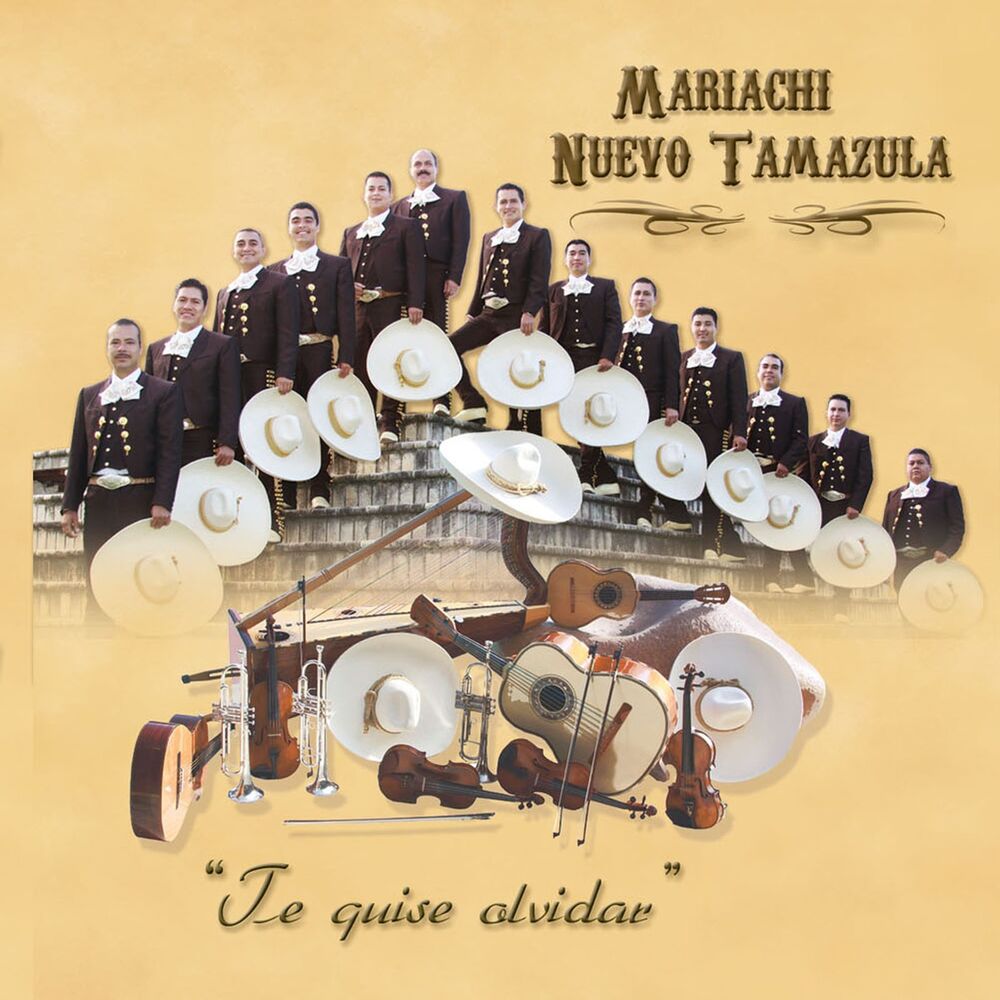 Picture of Te Quise Olvidar
