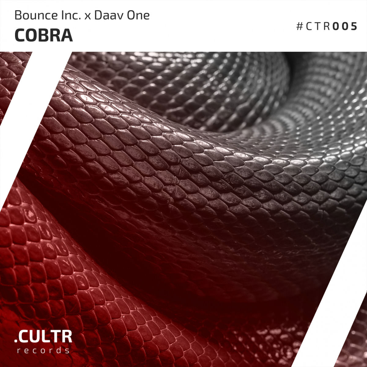 Album cover of Cobra