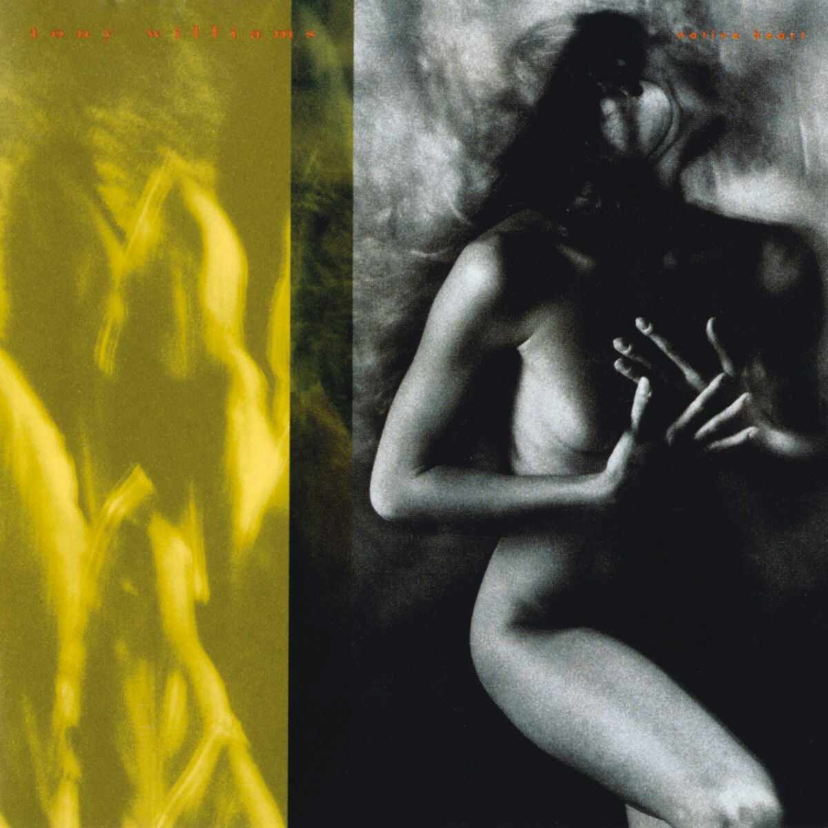 Album cover of Two Worlds