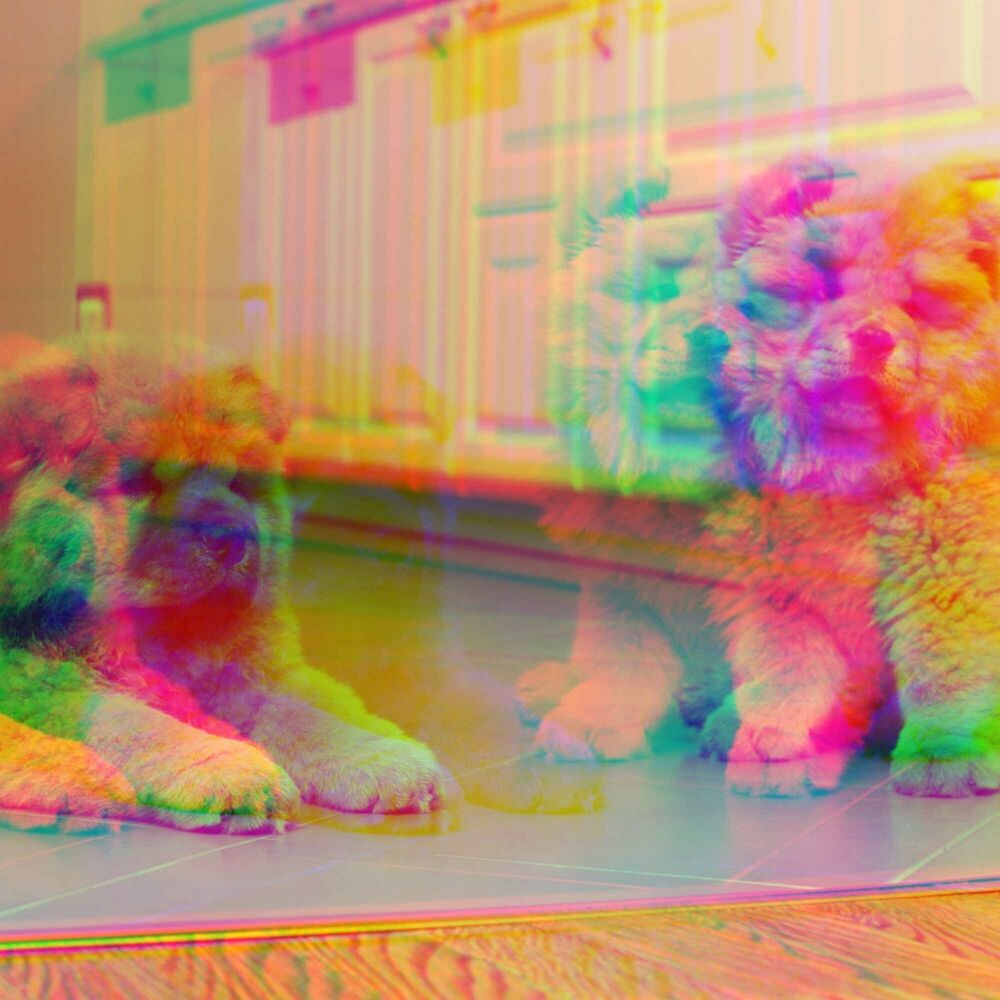 Picture of Music for Doggy Afternoon Rest - Spacious Jazz Quintet