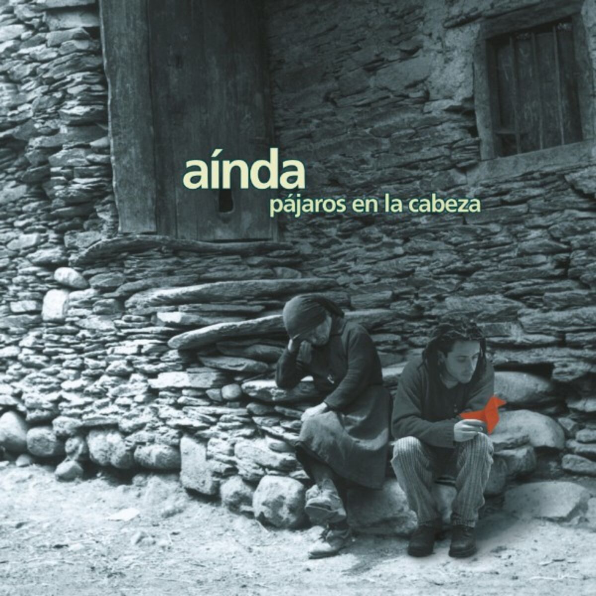 Album cover of Pájaros en la Cabeza