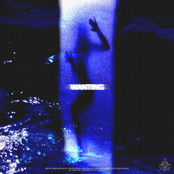 Cover of Wanting