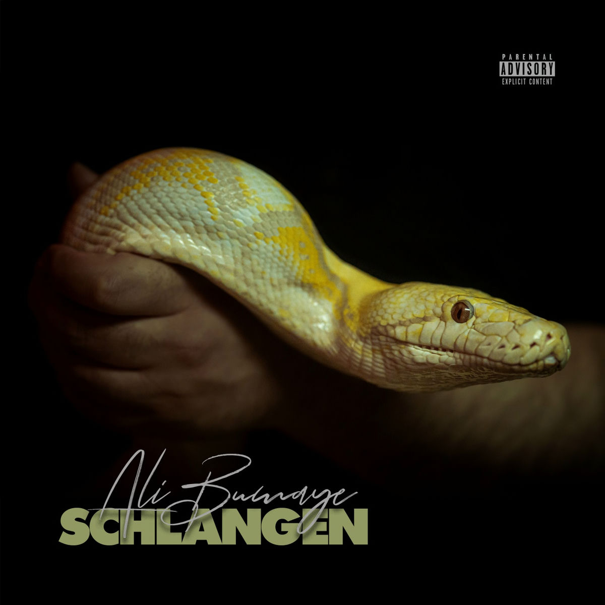 Album cover of Schlangen