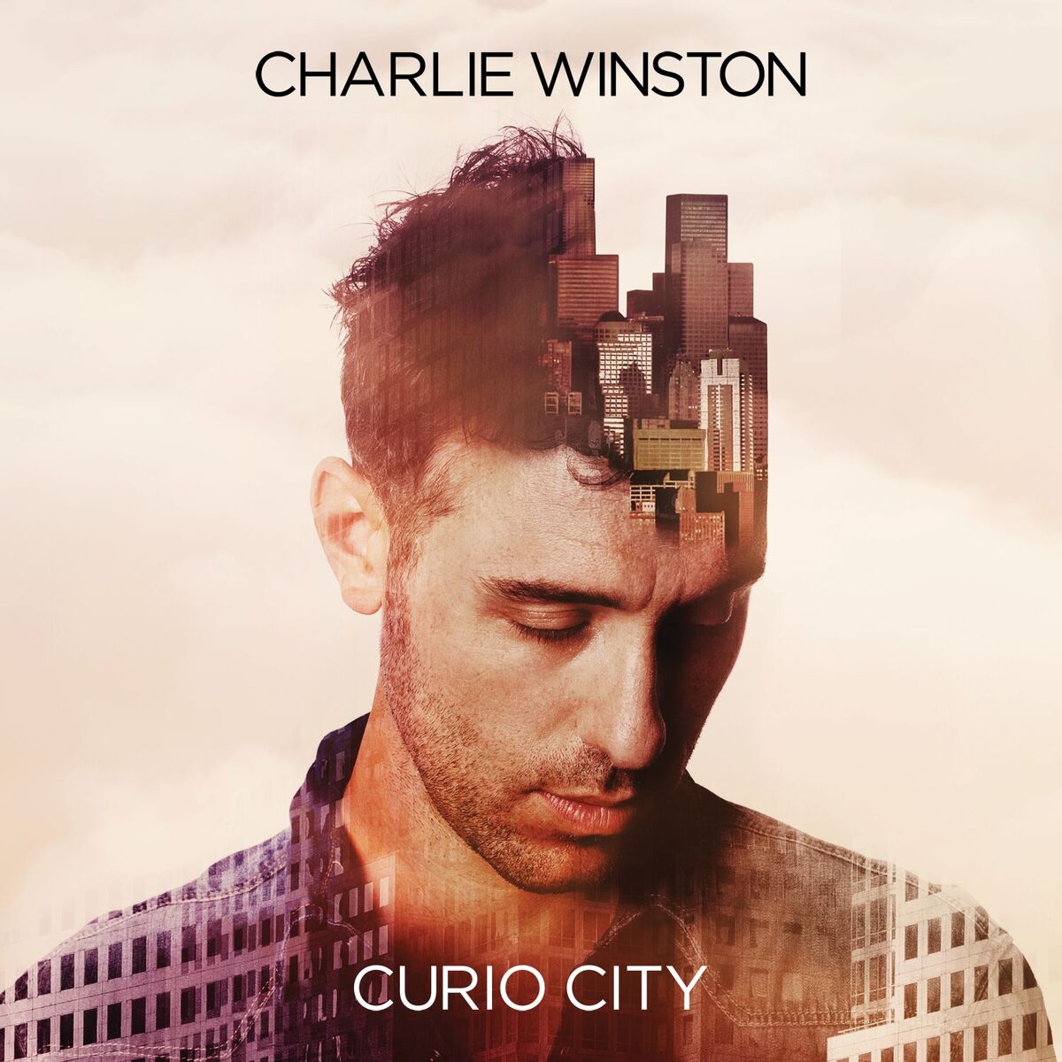 Album cover of Curio City