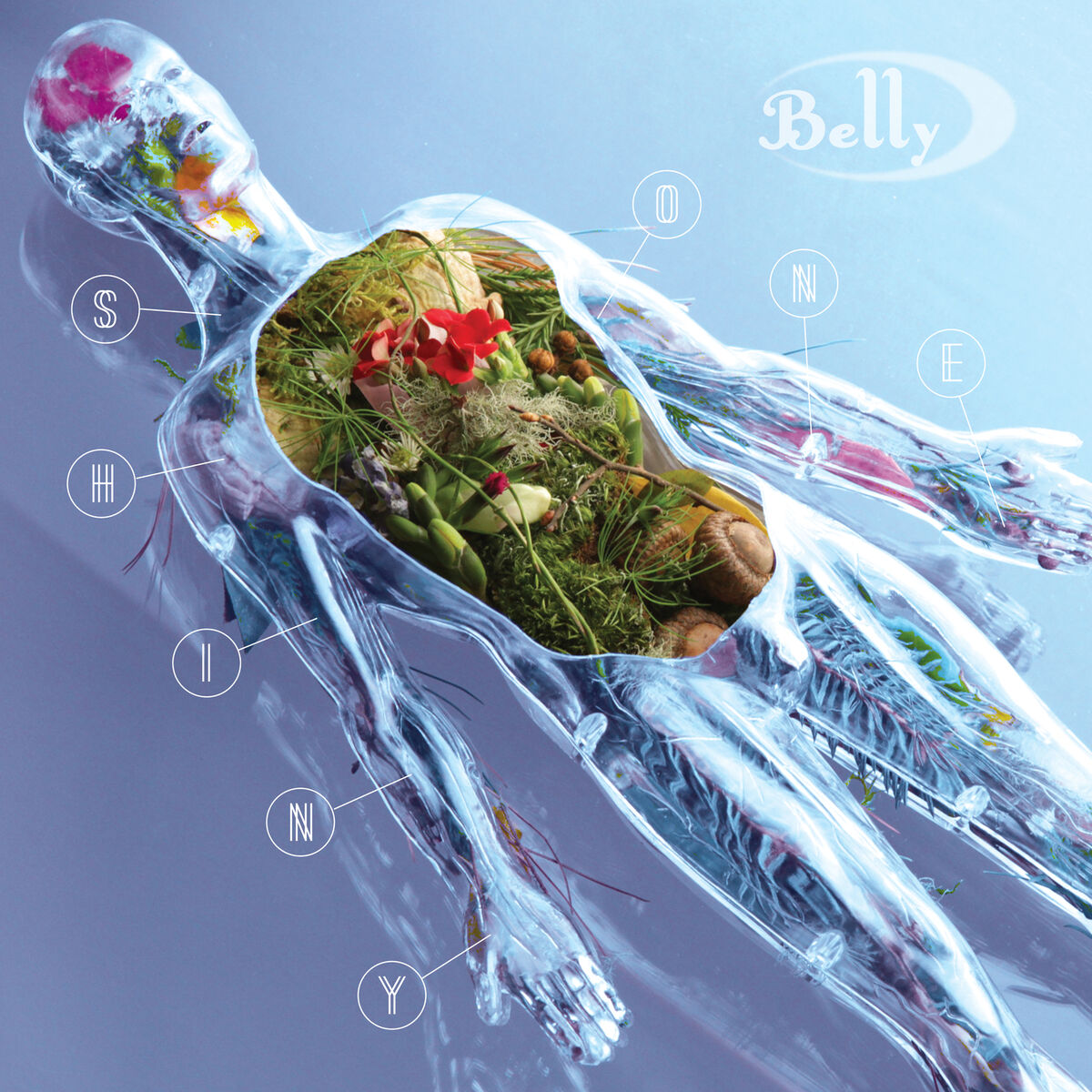 Album cover of Shiny One
