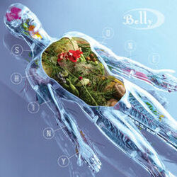 Cover of Shiny One