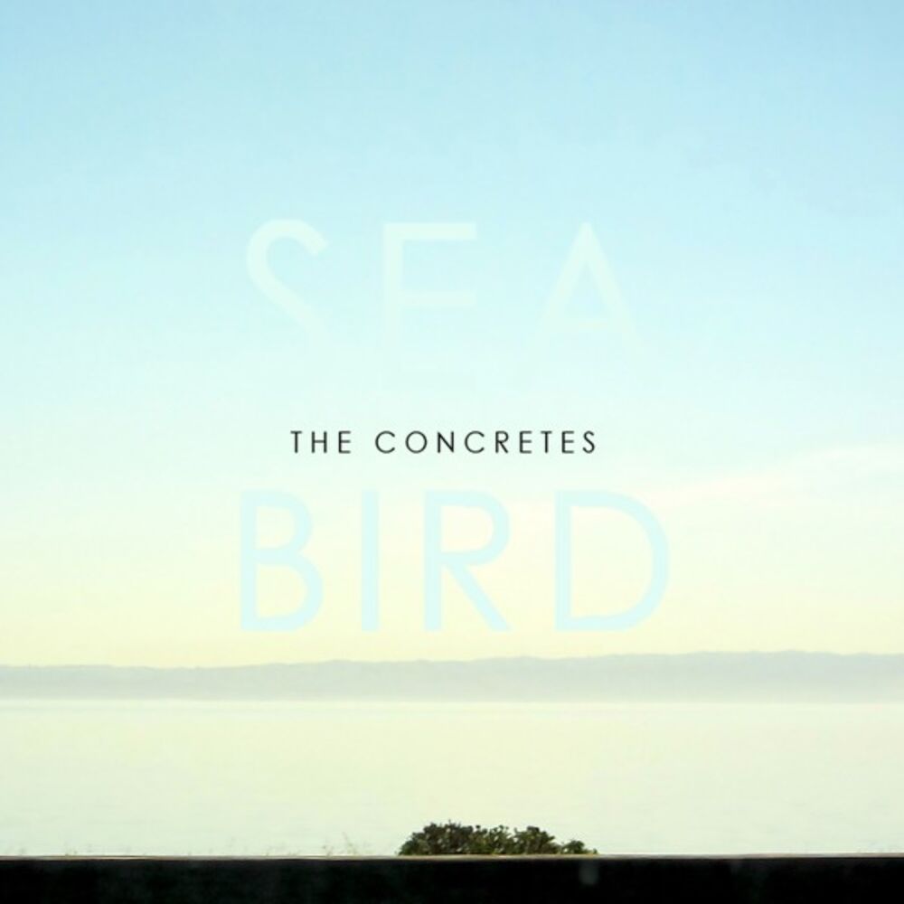 Picture of Seabird