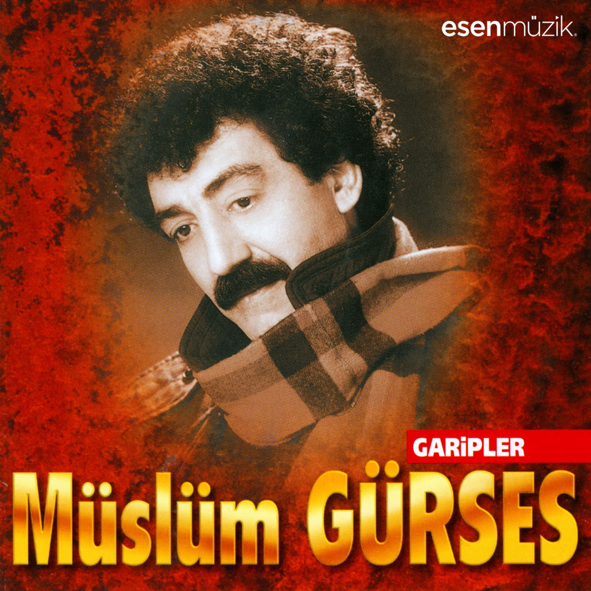 Album cover of Garipler
