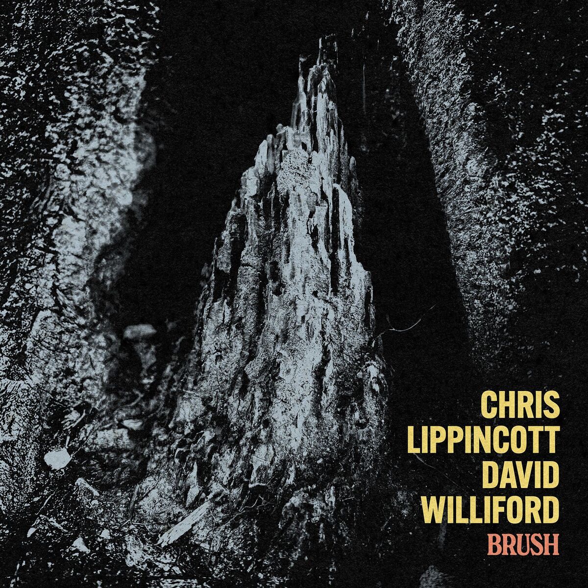 Album cover of Brush