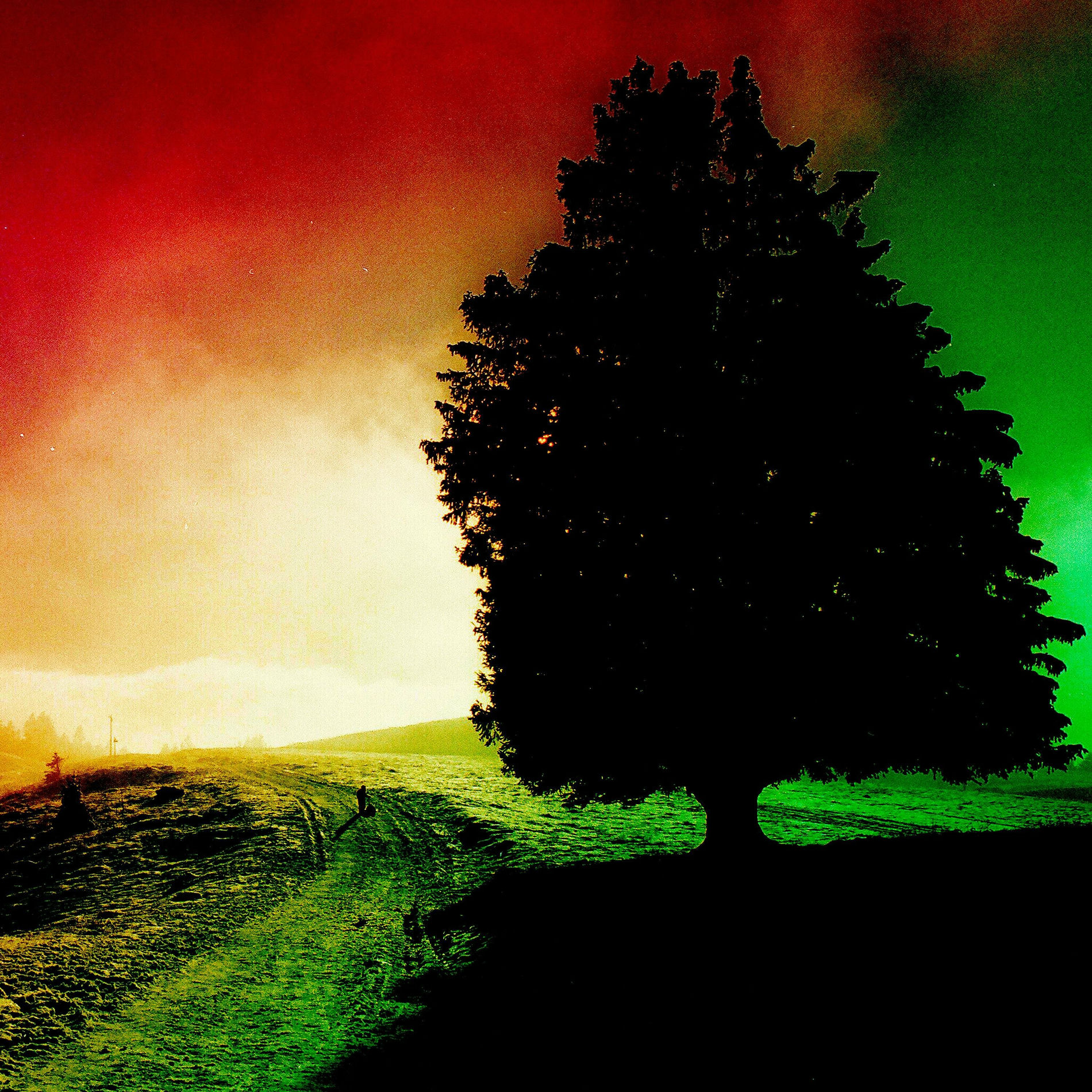 Album cover of U live in a Shadow Remix EP